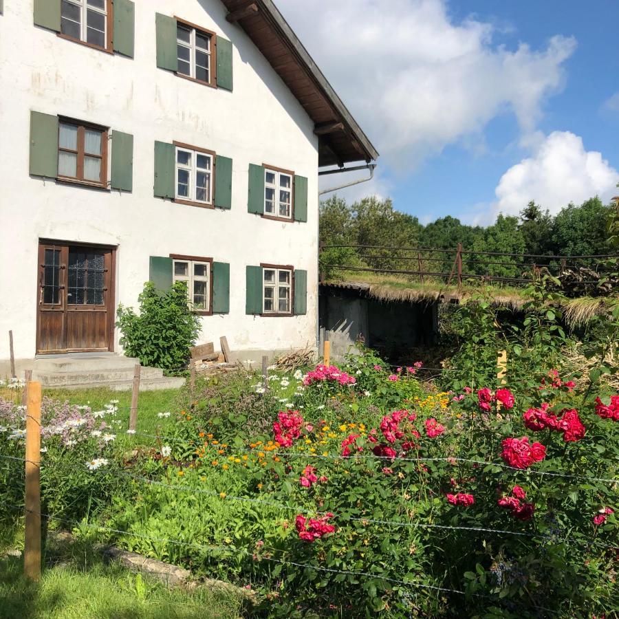 Ferienwohnung Allgaeuliebe In Oy-Mittelberg Exterior photo
